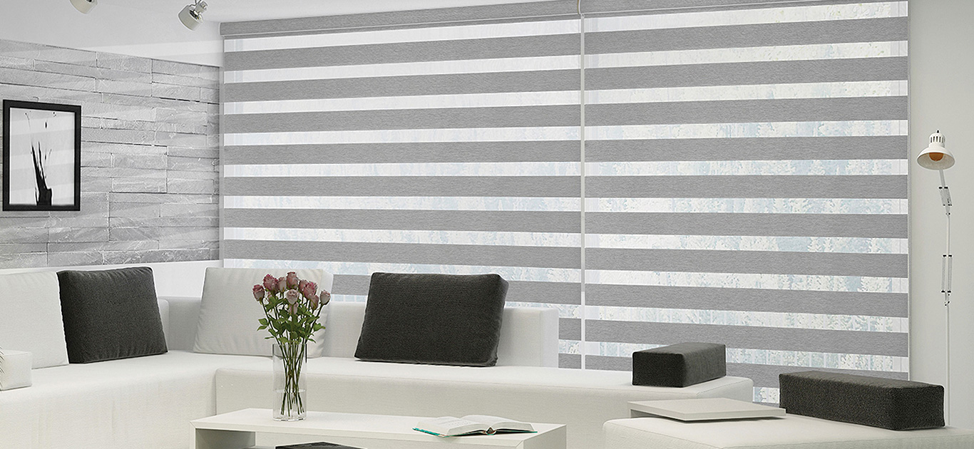 Dual shade zebra blinds